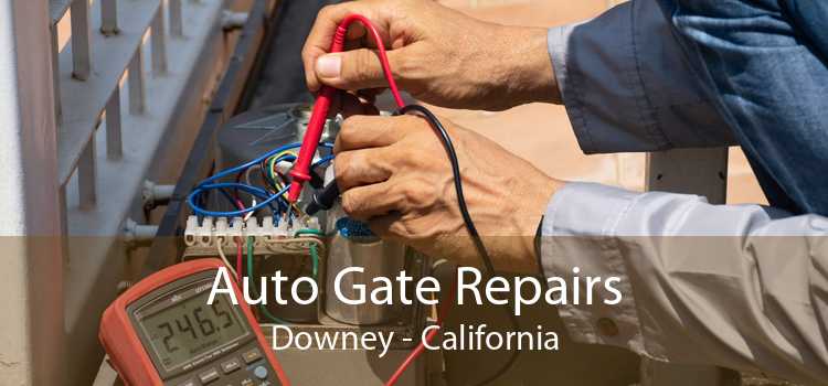 Auto Gate Repairs Downey - California