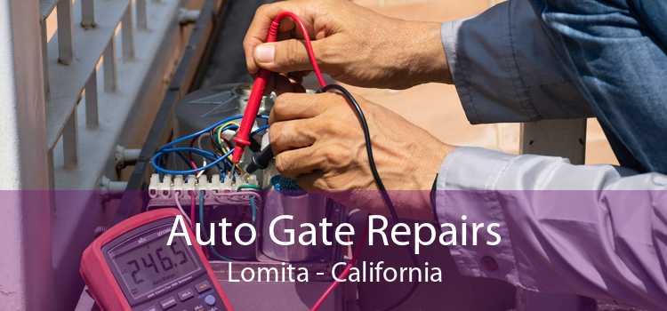 Auto Gate Repairs Lomita - California