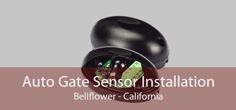 Auto Gate Sensor Installation Bellflower - California