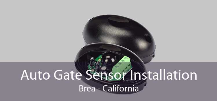 Auto Gate Sensor Installation Brea - California