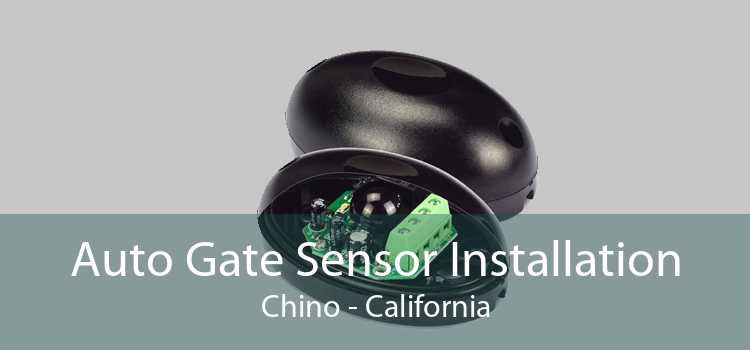 Auto Gate Sensor Installation Chino - California