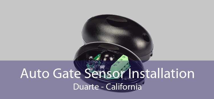 Auto Gate Sensor Installation Duarte - California