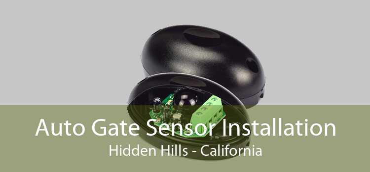 Auto Gate Sensor Installation Hidden Hills - California