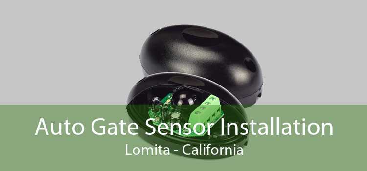 Auto Gate Sensor Installation Lomita - California