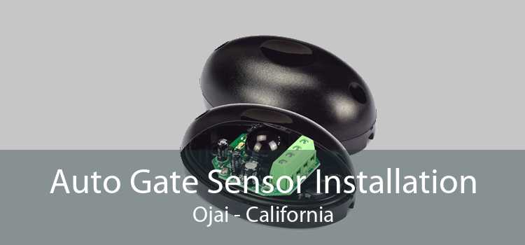 Auto Gate Sensor Installation Ojai - California