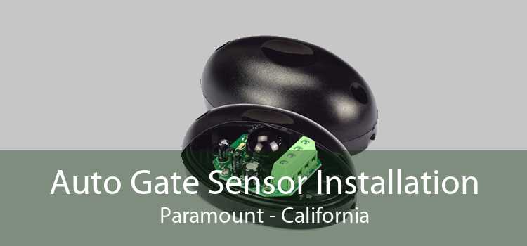 Auto Gate Sensor Installation Paramount - California