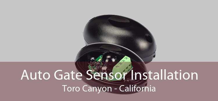 Auto Gate Sensor Installation Toro Canyon - California