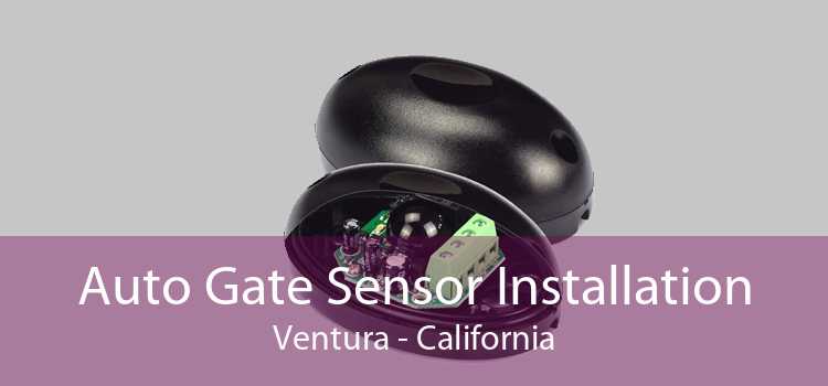 Auto Gate Sensor Installation Ventura - California