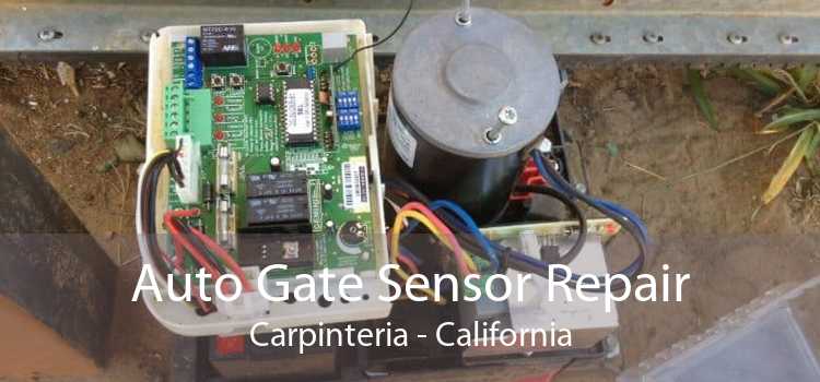 Auto Gate Sensor Repair Carpinteria - California