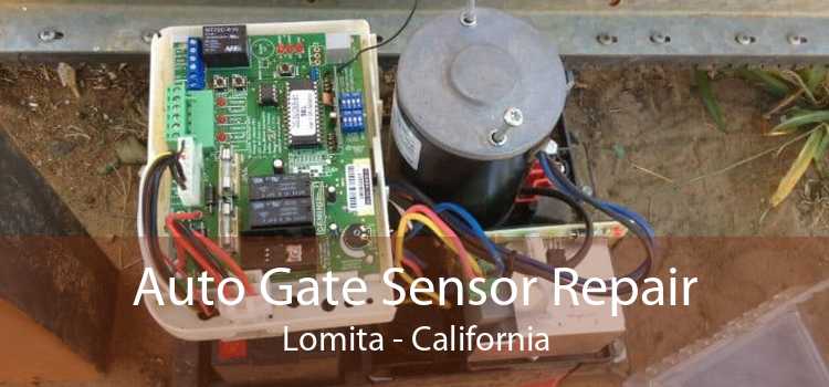 Auto Gate Sensor Repair Lomita - California