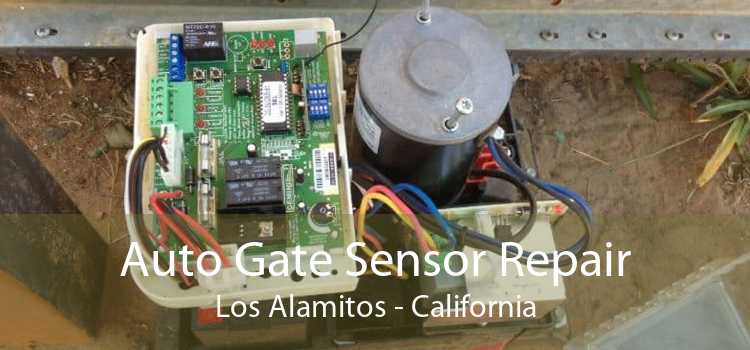 Auto Gate Sensor Repair Los Alamitos - California