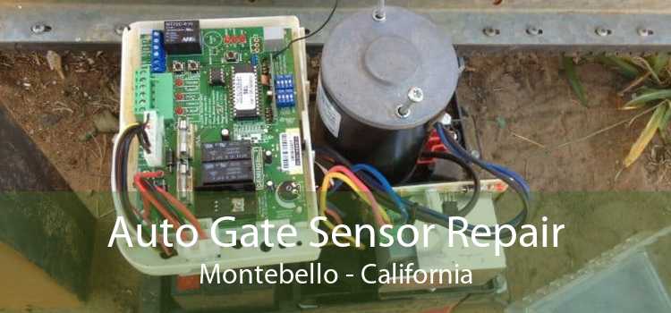 Auto Gate Sensor Repair Montebello - California