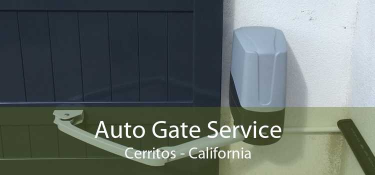 Auto Gate Service Cerritos - California