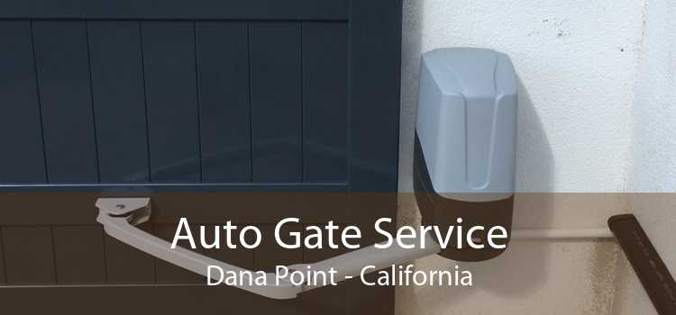 Auto Gate Service Dana Point - California