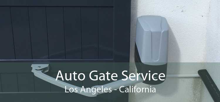 Auto Gate Service Los Angeles - California