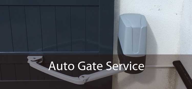 Auto Gate Service 